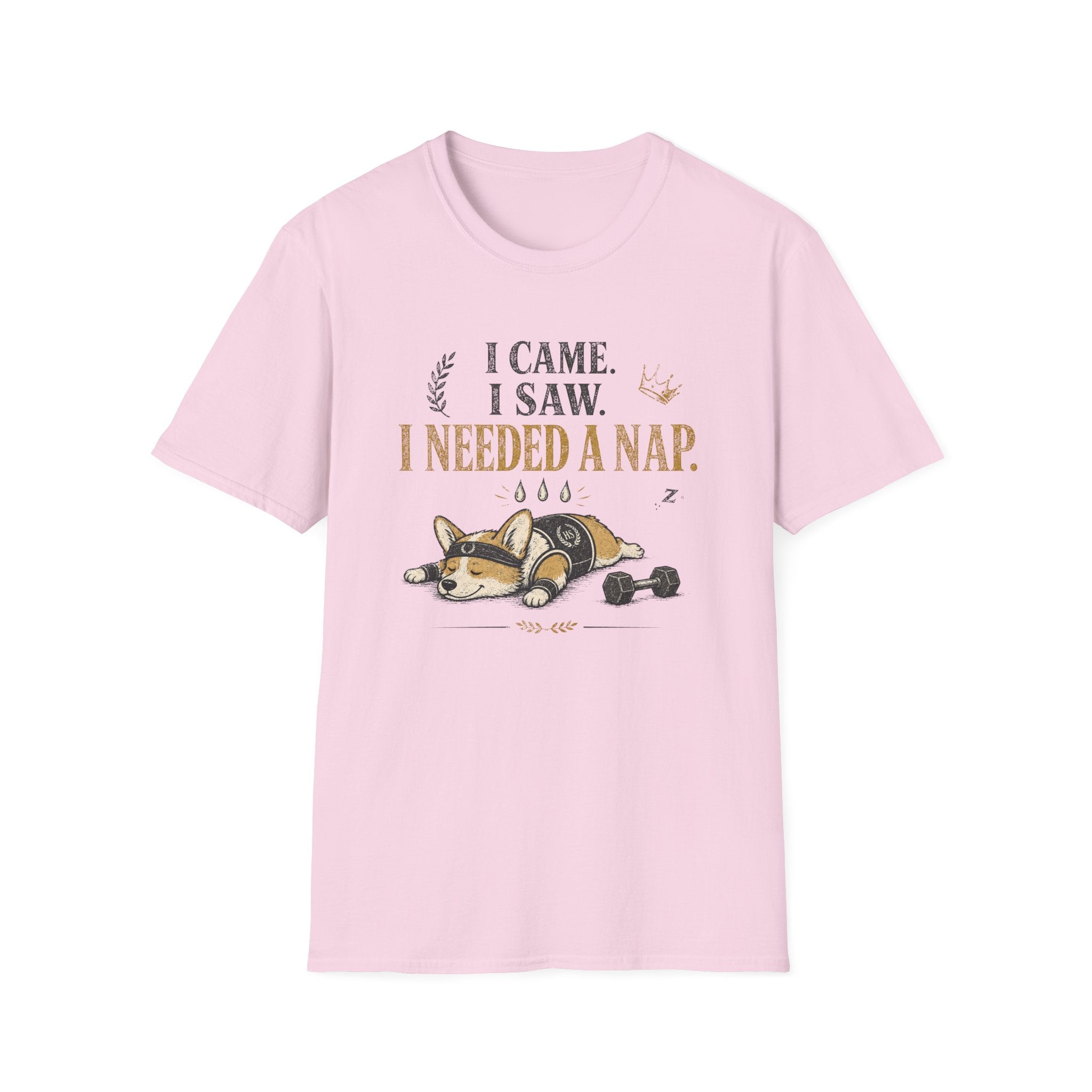 I Came, I Saw T-Shirt
