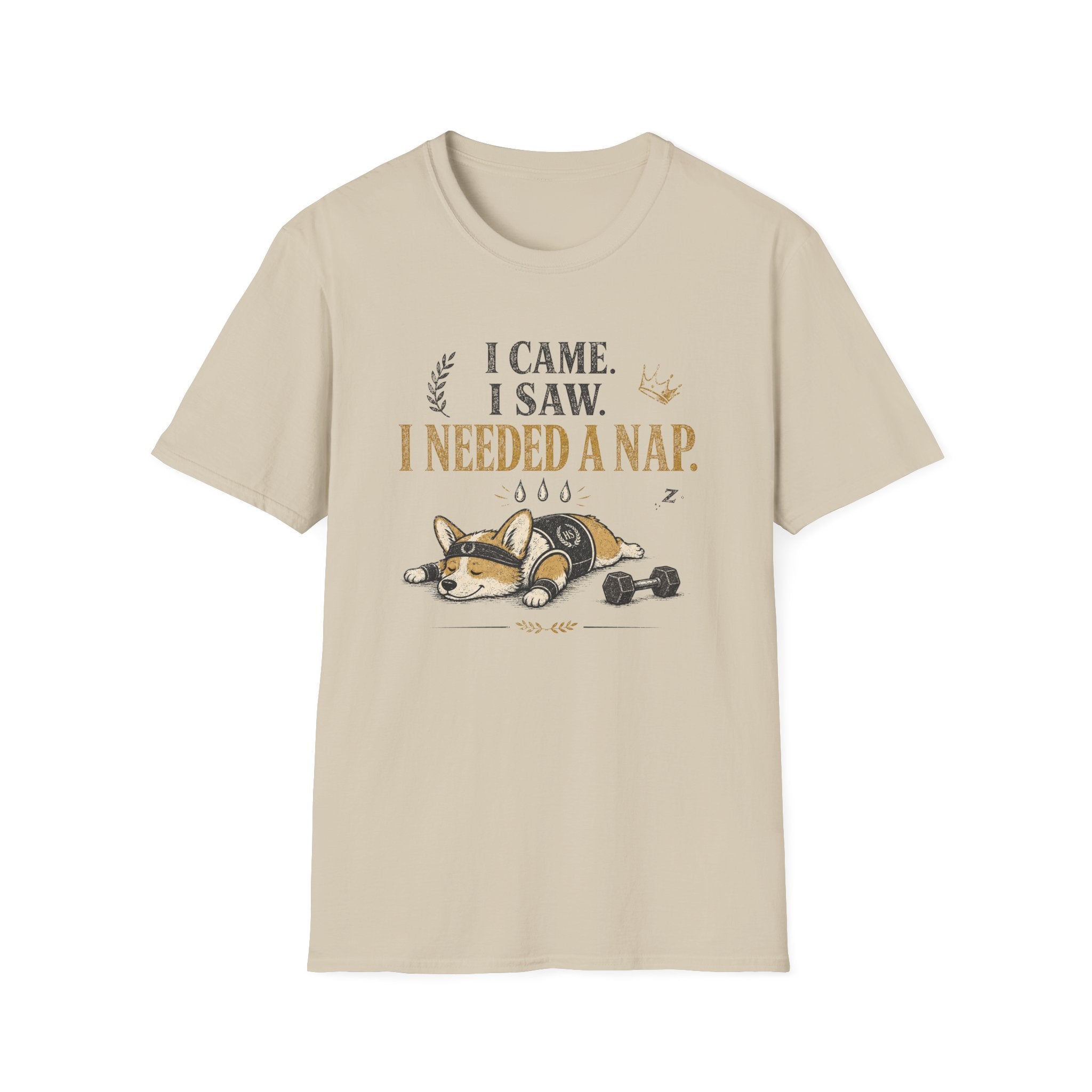 I Came, I Saw T-Shirt