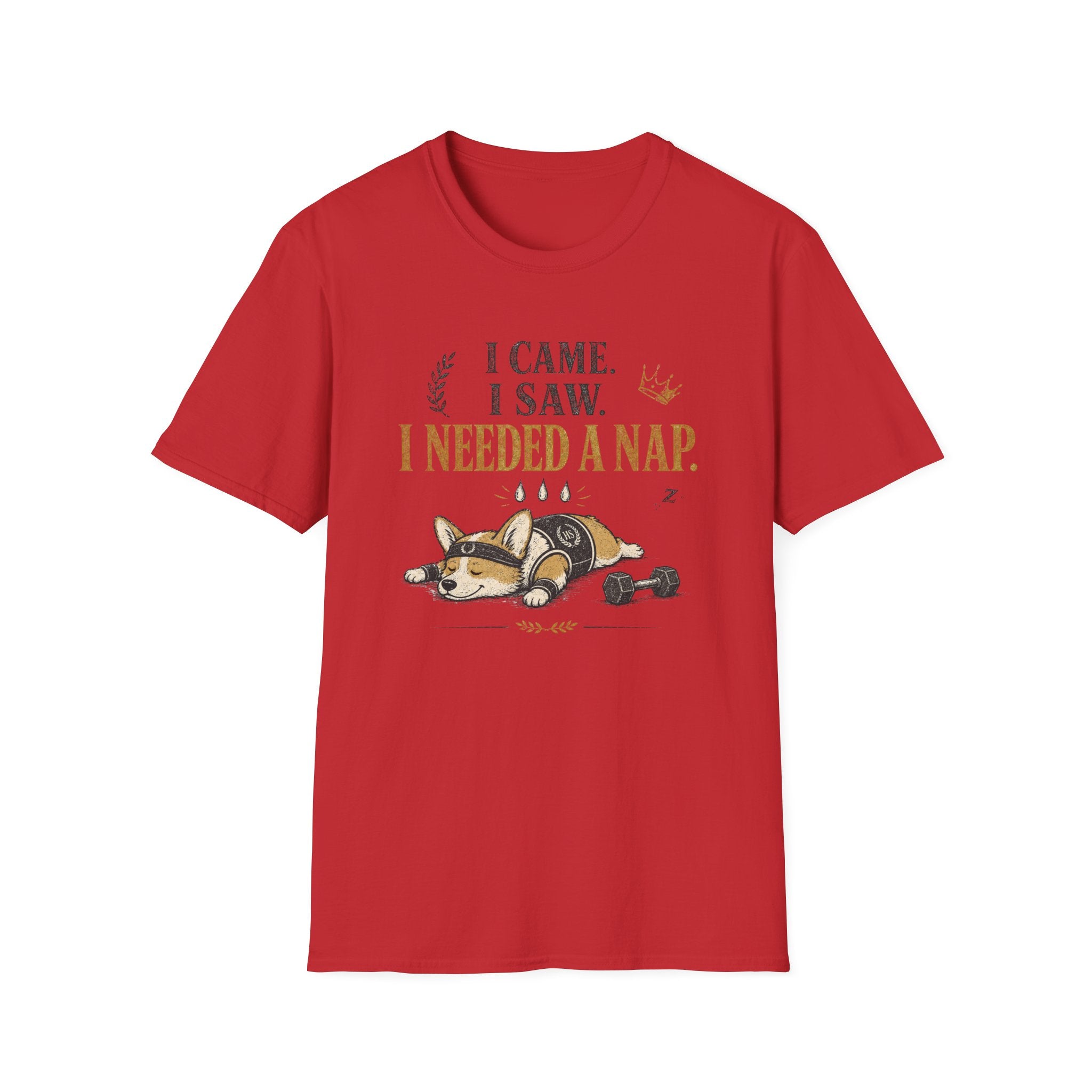 I Came, I Saw T-Shirt